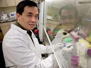 Phát hiện loại virus mới gây ra bệnh sốt xuất huyết
